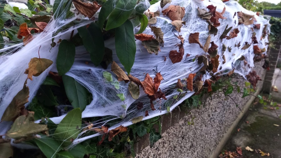 Fake cobweb decorations